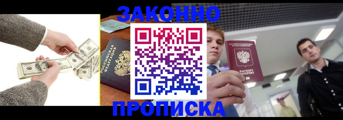 прописка поиск в Камышине